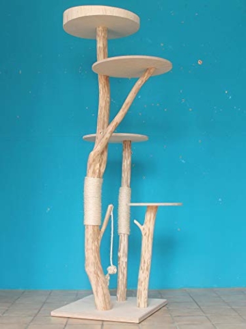 DIWORO Kratzbaum Naturholz 195 cm, Naturkratzbaum stabil, Natur Holz Design - 3