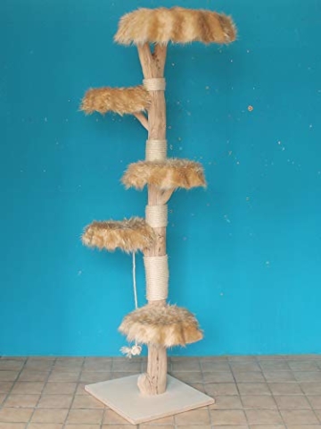 DIWORO Kratzbaum Naturholz 230 cm, Naturkratzbaum stabil, Natur Holz Design - 2