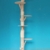 DIWORO Kratzbaum Naturholz 230 cm, Naturkratzbaum stabil, Natur Holz Design - 3