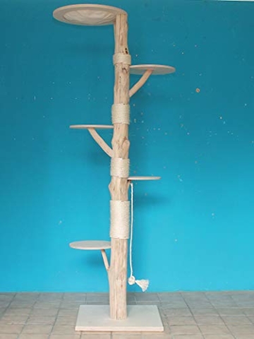 DIWORO Kratzbaum Naturholz 230 cm, Naturkratzbaum stabil, Natur Holz Design - 4