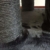 Kratzbaum grosse katzen stabil XXL Panther Blackline Dunkel Grau Katzenkratzbaum für schwere Katze hoch - 7