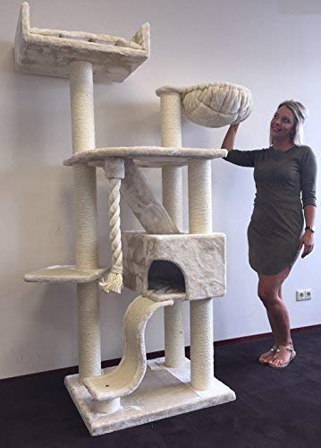 RHRQuality Kratzbaum Große Katze Kilimandjaro de Luxe Creme. Stabil 45KG!. Sisalstämme 12cmØ Katzenkratzbaum für Große Katzen. - 2