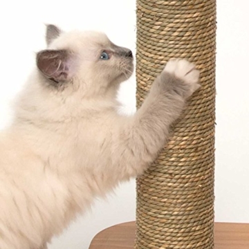 Vesper Katzenmöbel 